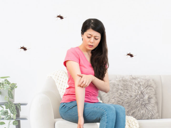 Break the Dengue Transmission with Indoor Mozzie Repellent Cream